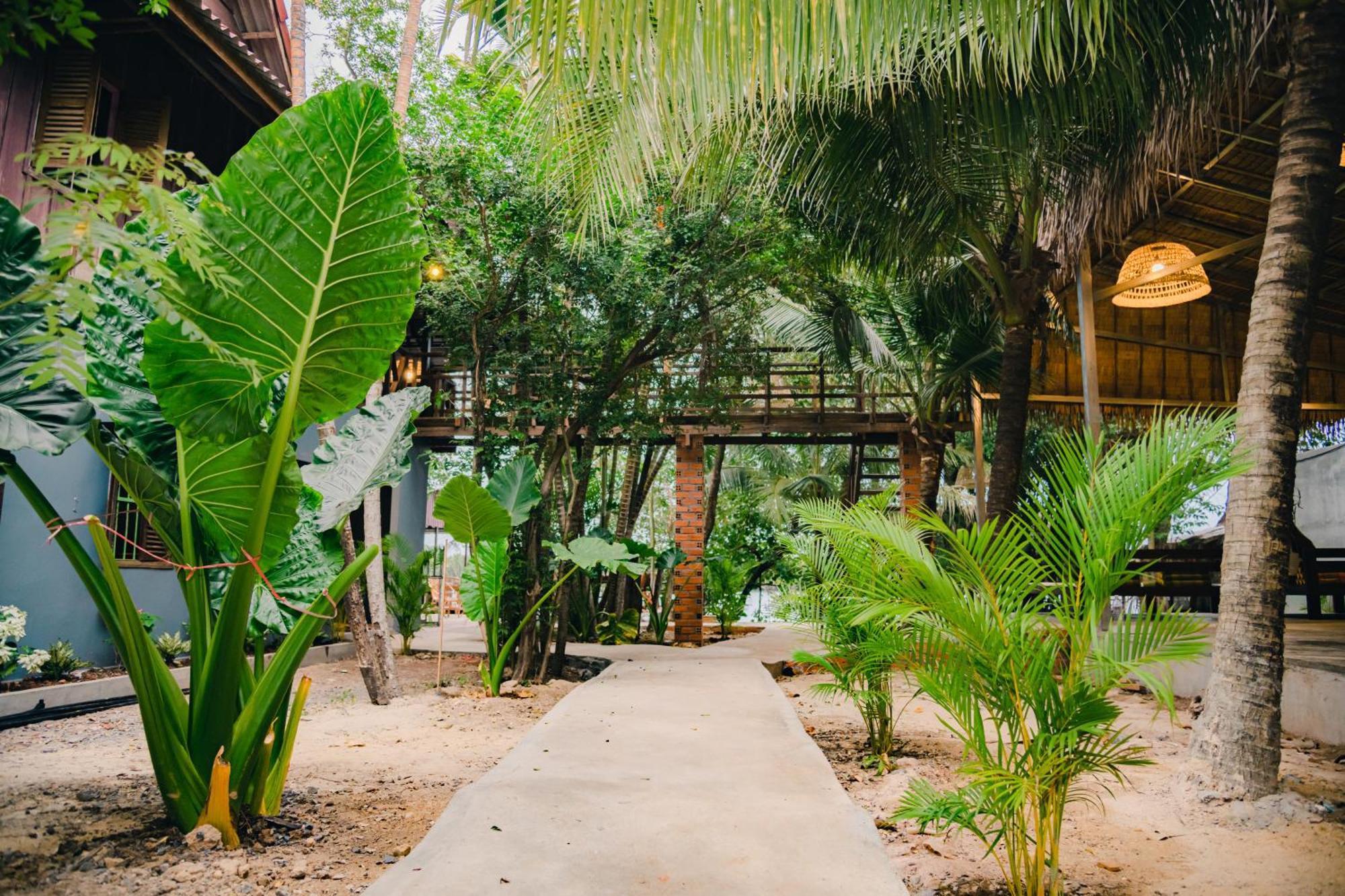 Banyan Tree Hostel Kampot Buitenkant foto