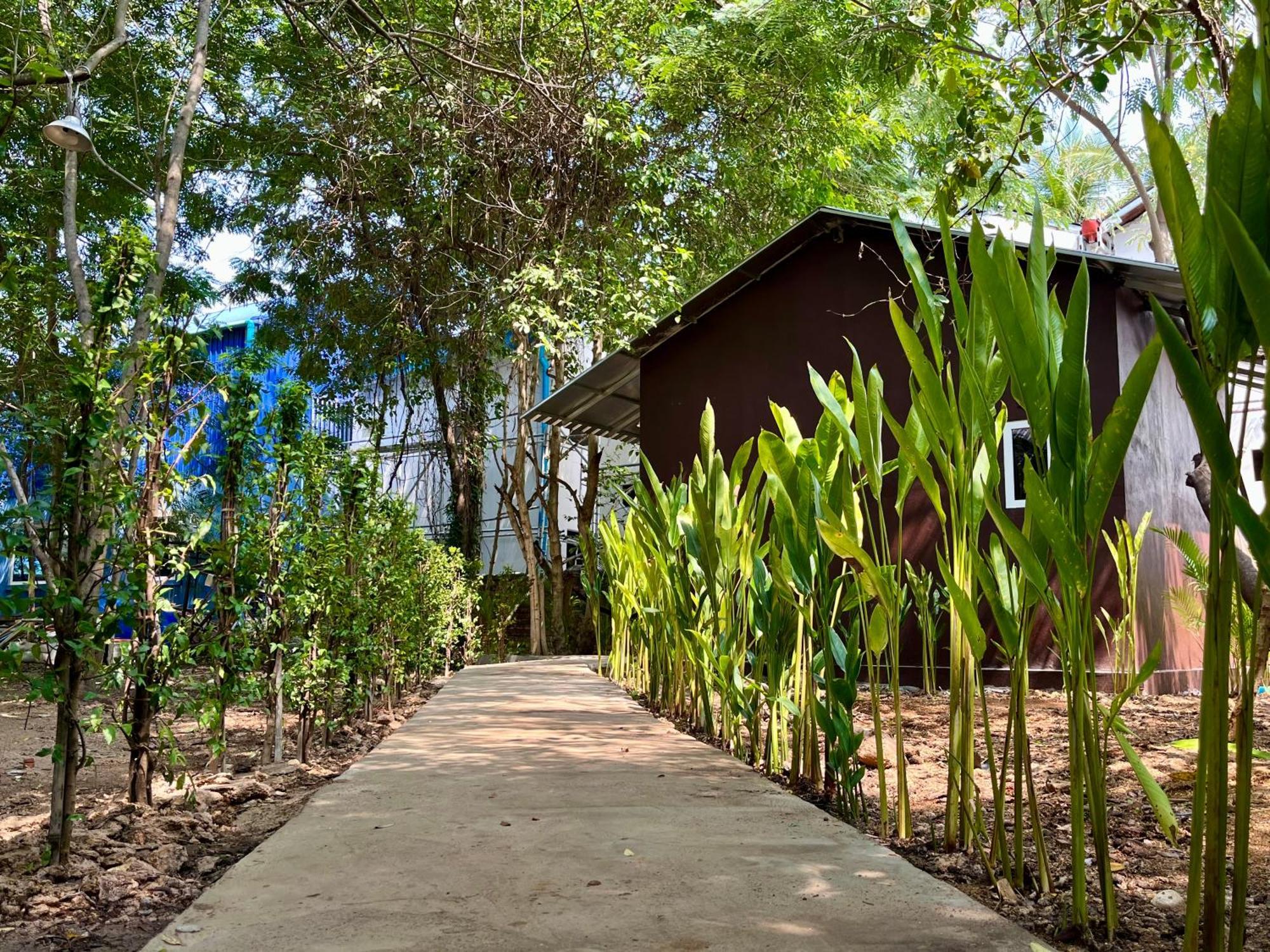 Banyan Tree Hostel Kampot Buitenkant foto