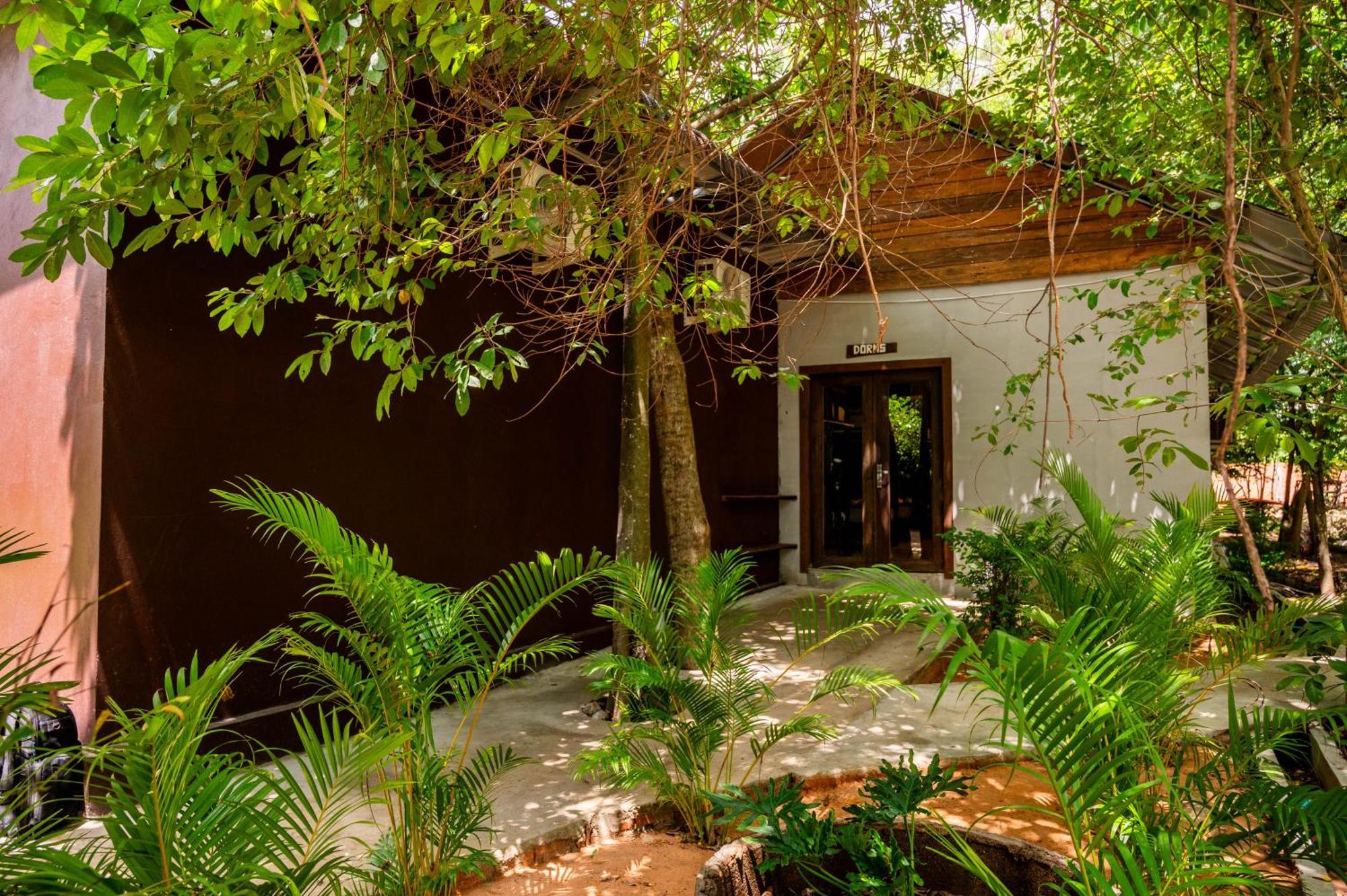 Banyan Tree Hostel Kampot Buitenkant foto