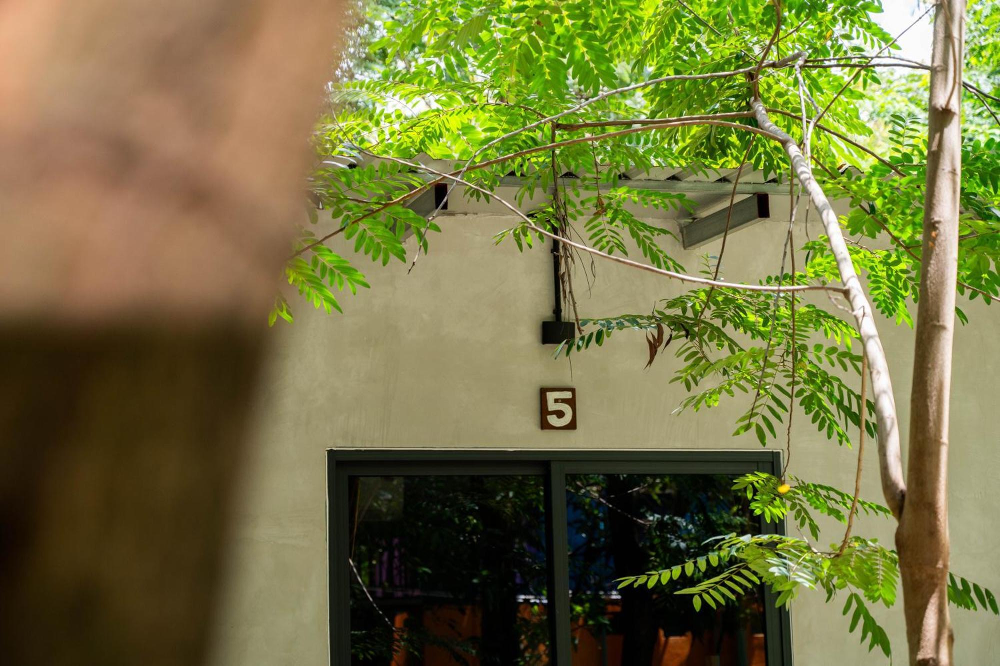 Banyan Tree Hostel Kampot Buitenkant foto
