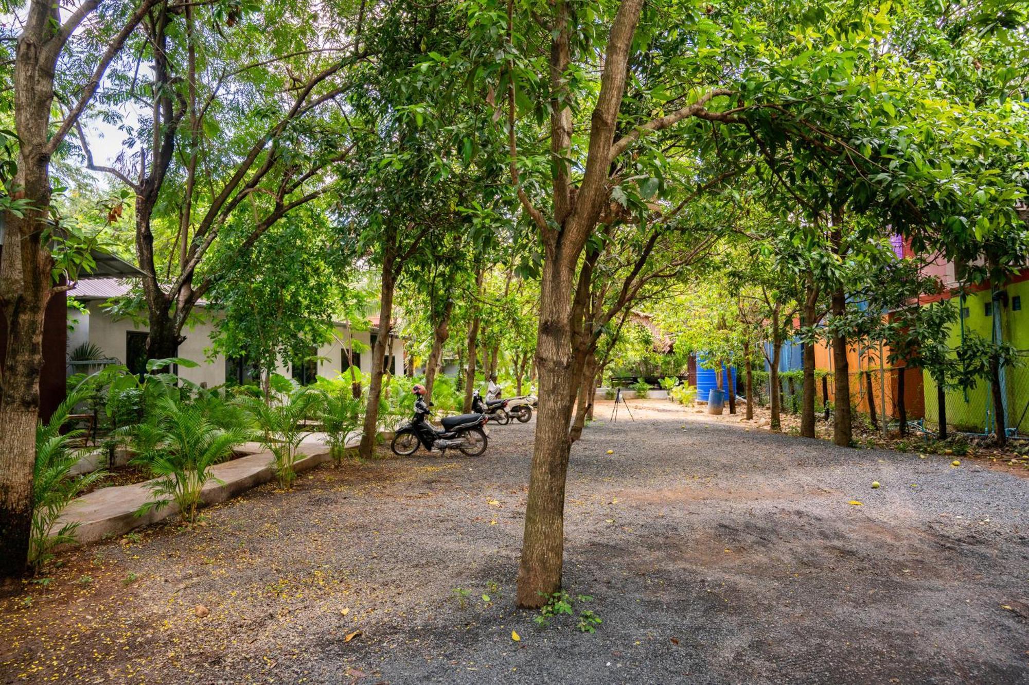 Banyan Tree Hostel Kampot Buitenkant foto