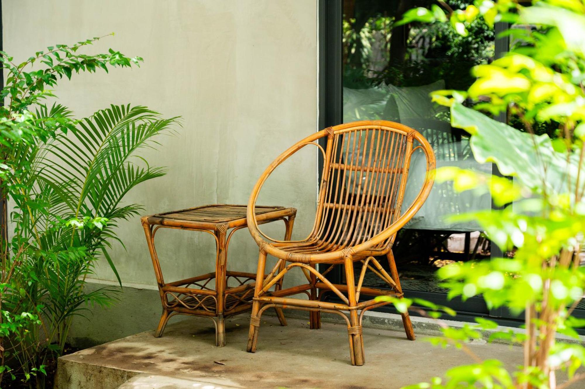 Banyan Tree Hostel Kampot Buitenkant foto